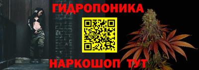 гашик Краснознаменск