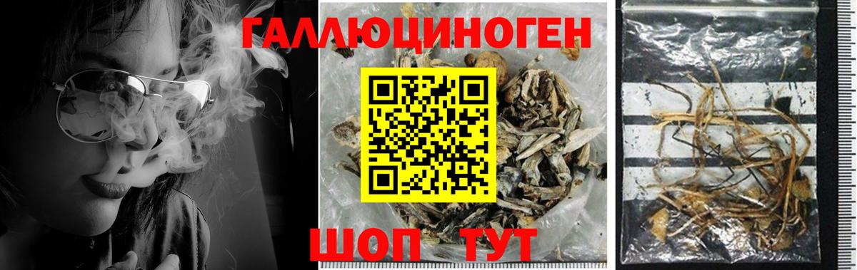 Галлюциногенные грибы GOLDEN TEACHER Гуково