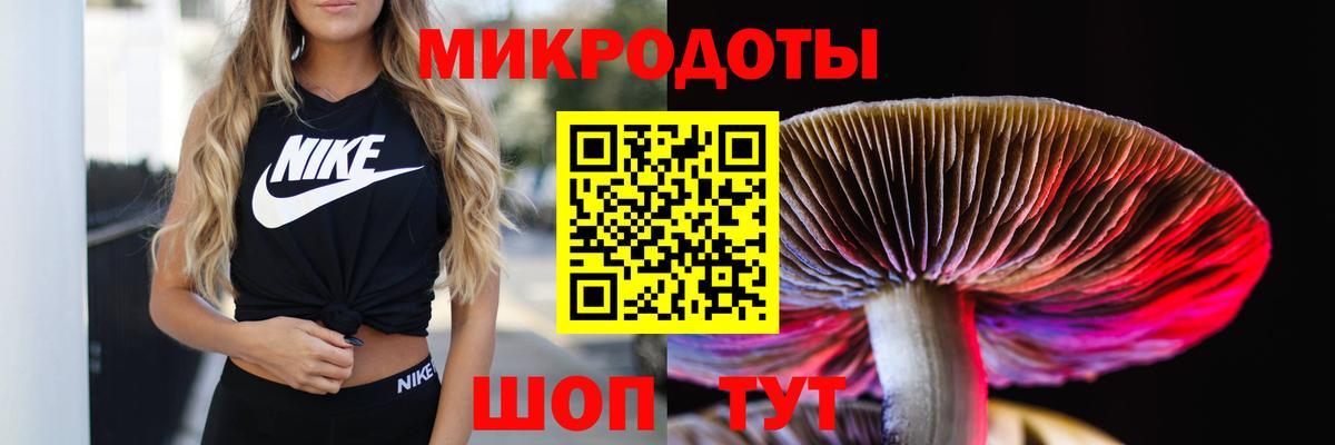 Гуково  цены   Вход с VPN  Галлюциногенные грибы Psilocybine cubensis  Галлюциногенные грибы ЛСД 